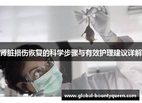 肾脏损伤恢复的科学步骤与有效护理建议详解 肾脏损伤恢复的科学步骤与有效护理建议详解