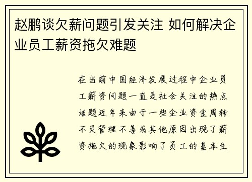 赵鹏谈欠薪问题引发关注 如何解决企业员工薪资拖欠难题 赵鹏谈欠薪问题引发关注 如何解决企业员工薪资拖欠难题
