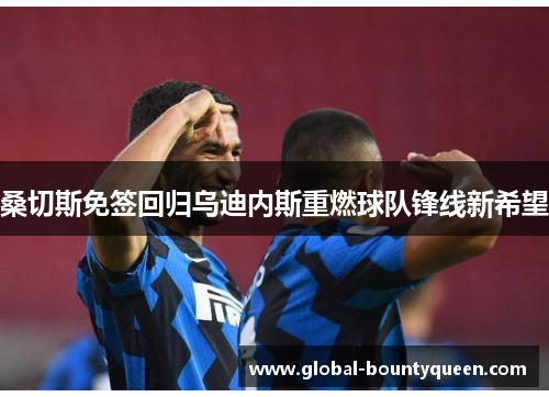桑切斯免签回归乌迪内斯重燃球队锋线新希望